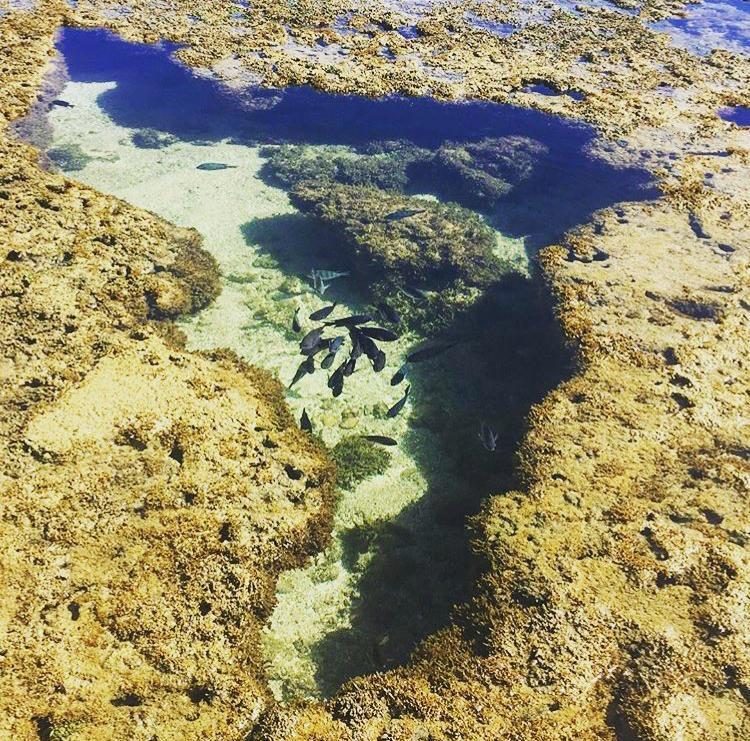 Pousada Maracabana Spa Pôrto das Galinhas Exteriör bild